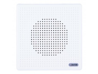 WP-03T громкоговоритель настенный