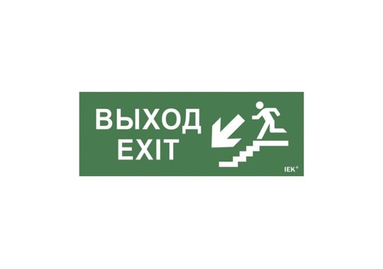 Этикетка самоклеящаяся 240х90мм "Выход/лестница вниз/фигура" (LPC10-1-24-09-VLVNF)