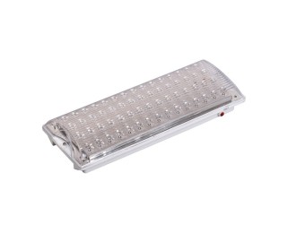 ДПА 2104-С (LDPA2-2104-20-00-K01) светильник аварийный централизованного питания 24/220В IP20